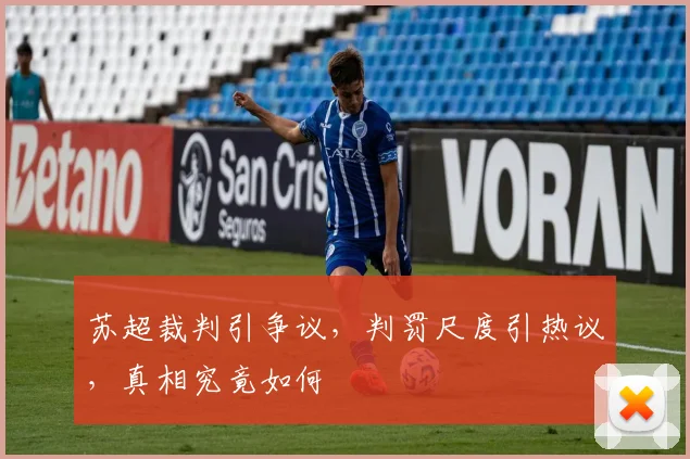 苏超裁判引争议，判罚尺度引热议，真相究竟如何