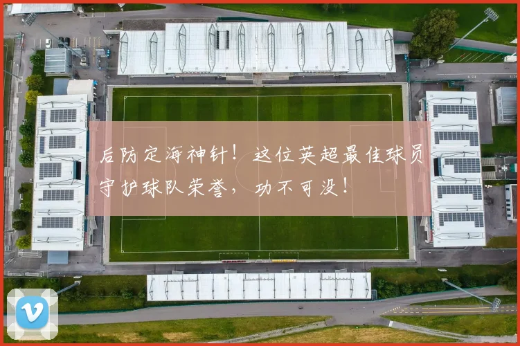 后防定海神针！这位英超最佳球员守护球队荣誉，功不可没！